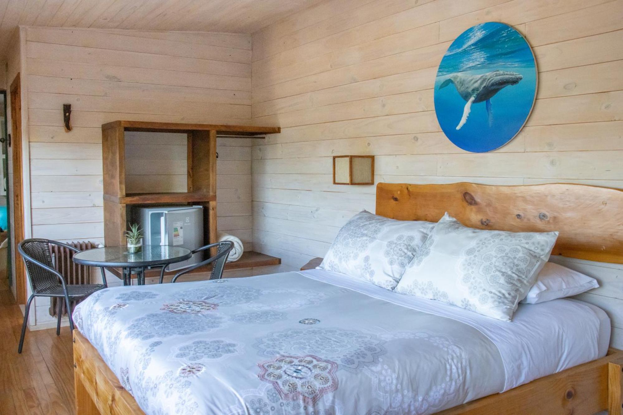 Hostal Sirena ピチレム エクステリア 写真