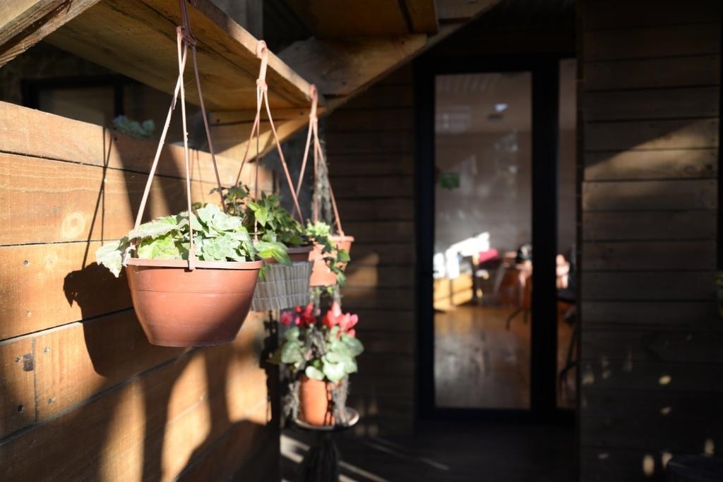Hostal Sirena ピチレム エクステリア 写真